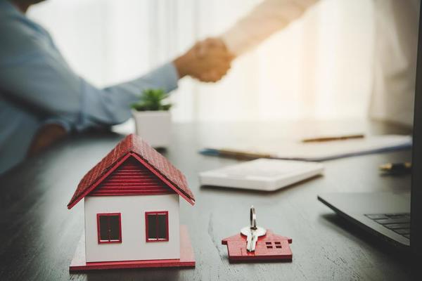 professional real estate agents