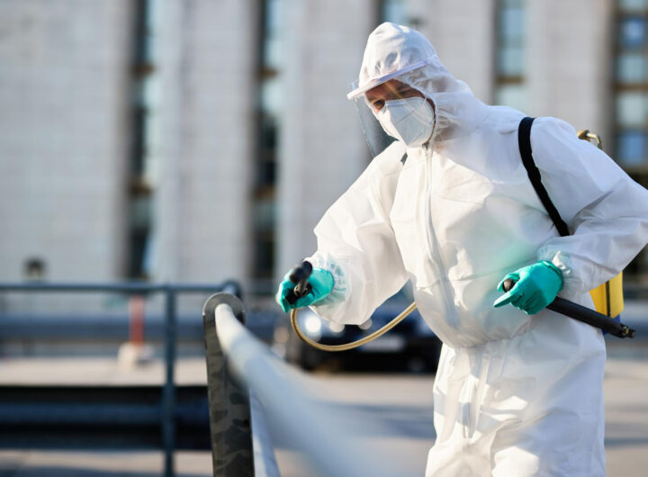 pest control service